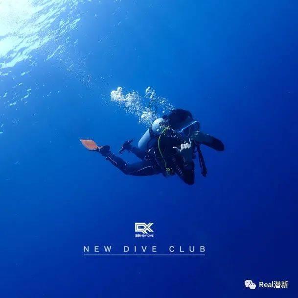 燃烧吧大脑免广告最新版